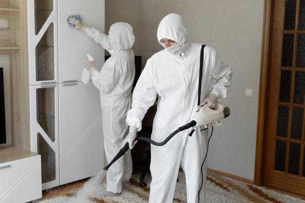 Best Mold Removal Process  in West Carrollton, OH
