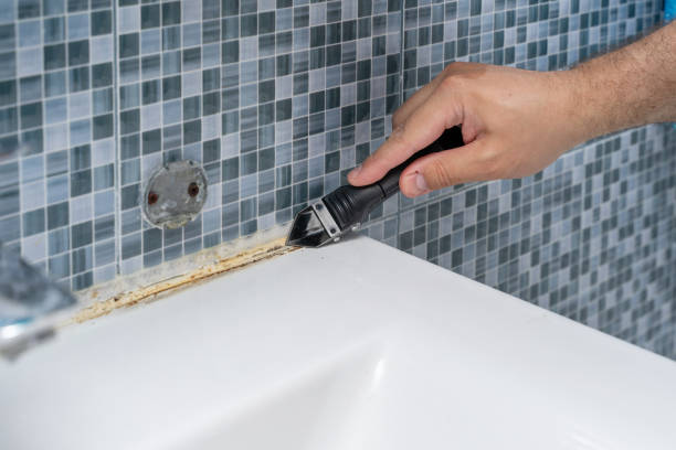 Best Mold Testing  in West Carrollton, OH
