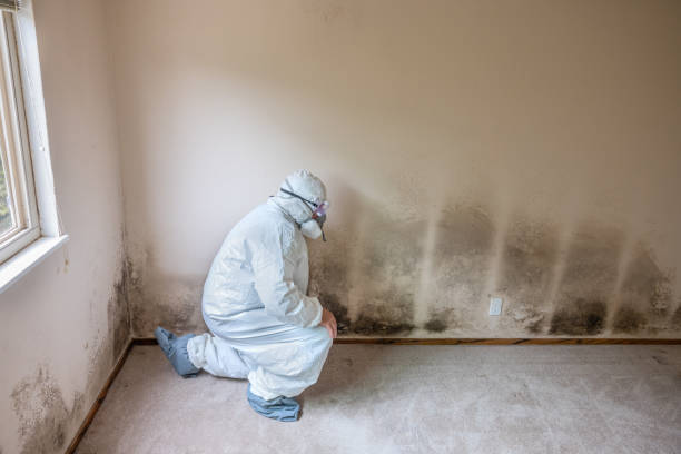 Crawl Space Mold Removal in West Carrollton, OH
